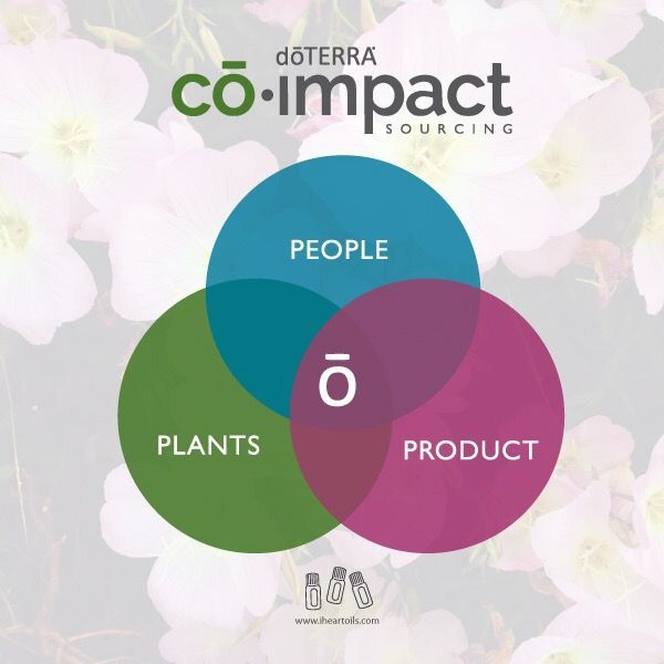 Co-impact sourcing